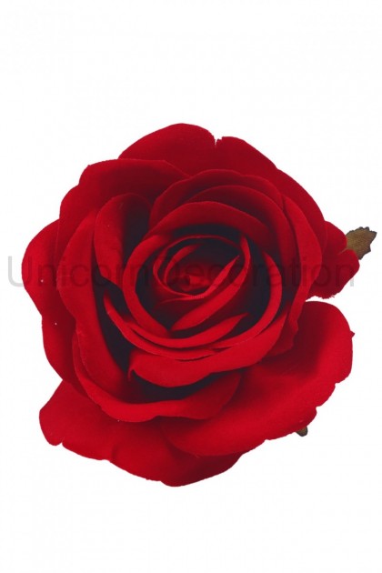 Ruža hl. velvet