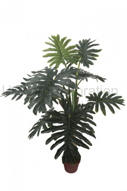 Philodendron v črepníku 120 cm